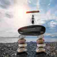 语‌义﻿检﻿索‍的‌用​户‍需‌求﻿分​析​